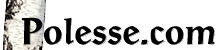 Polesse.com logo